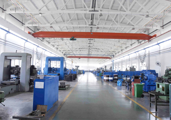 Single Girder Light Duty Crane Supplier